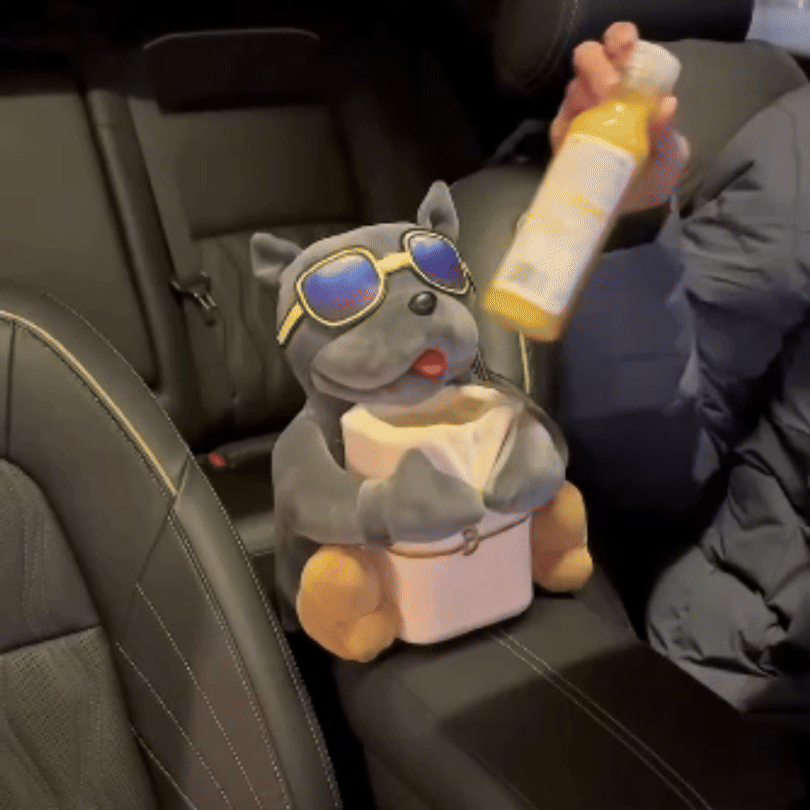 DriveBuddy™