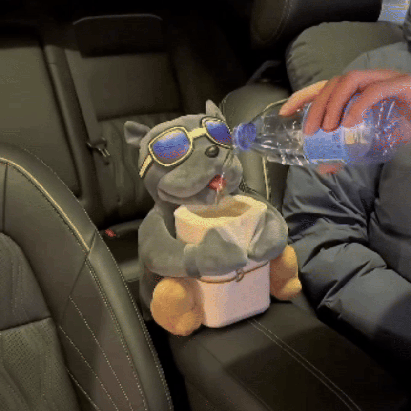 DriveBuddy™