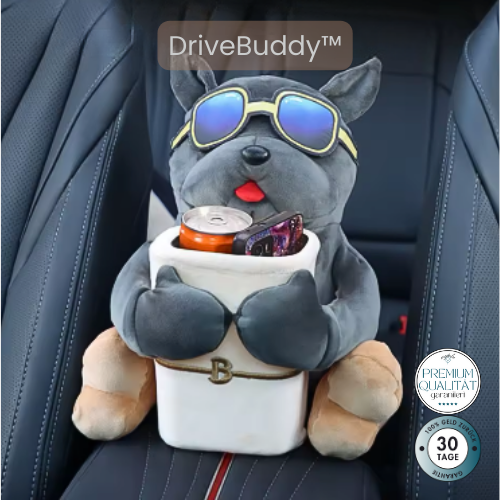 DriveBuddy™